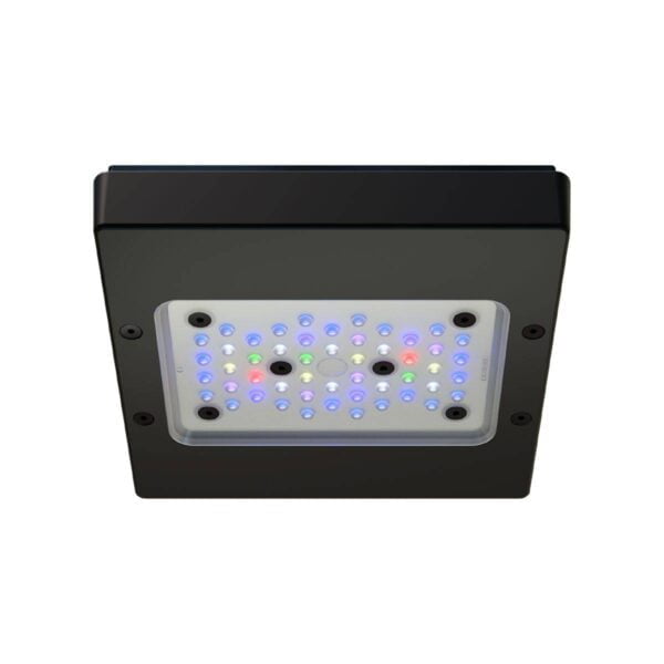 Black aquarium LED light fixture with multiple colored LEDs for reef and marine aquariums.