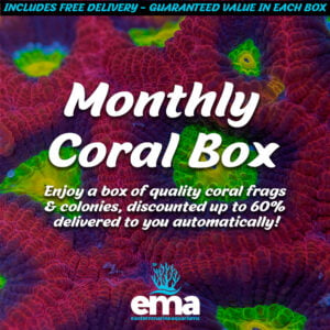 Monthly Coral Box advertisement, offering a box of coral frags and colonies from Eastern Marine Aquariums.