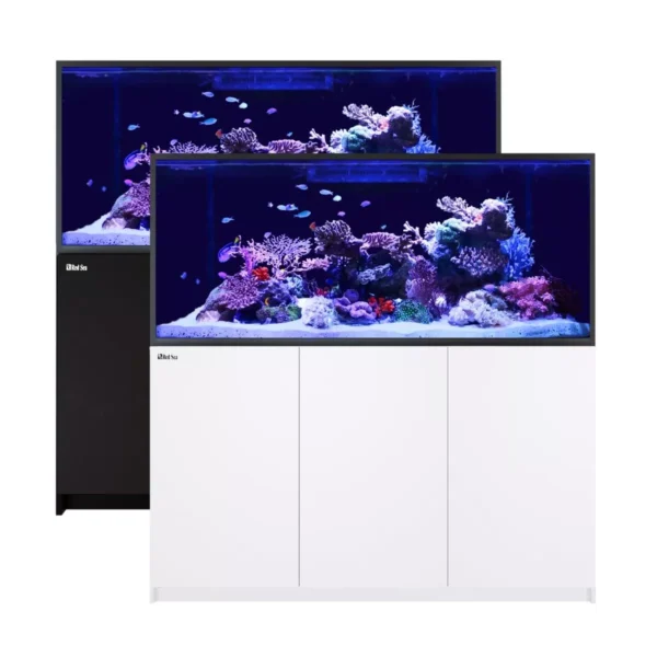 Modern rectangular coral reef aquariums with vibrant marine life and dual color stands