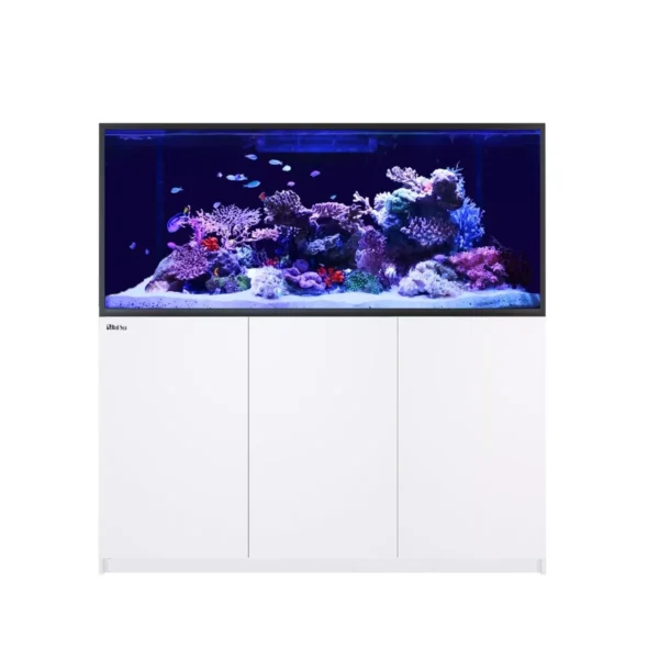 Contemporary coral reef aquariums with a variety of marine species and sleek cabinet designs